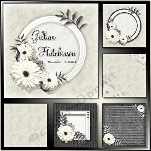 DESIGNER RESOURCE IVORY KIT