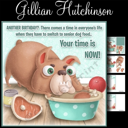 Senior Dog Food