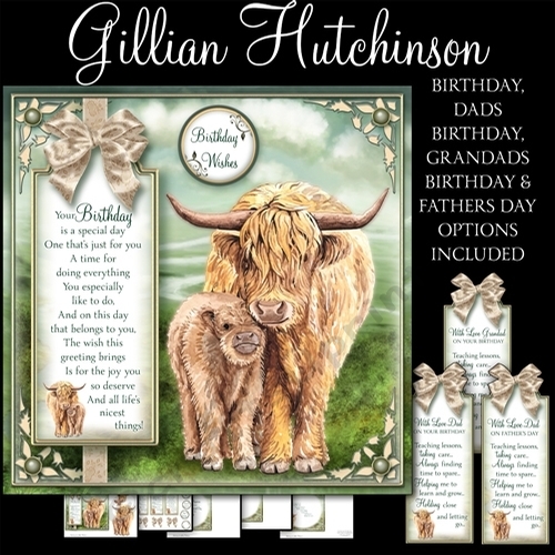 The Glencoe Highland Cattle