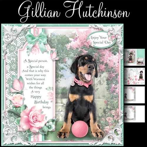 The Doberman Puppy (Girl)