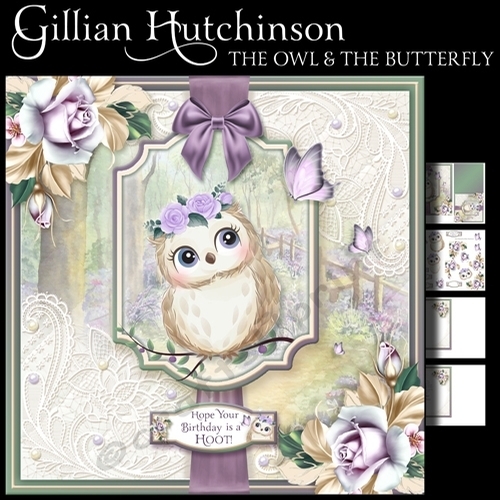 The Owl and the Butterfly