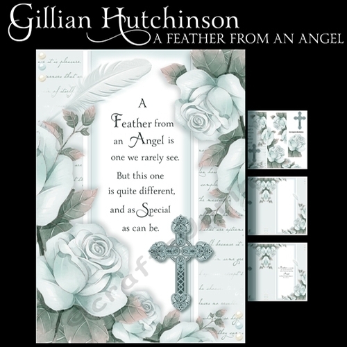 A Feather From an Angel