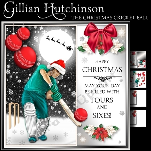 The Christmas Cricket Ball