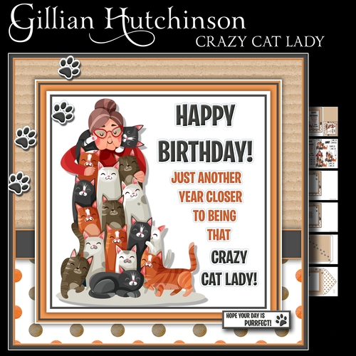 Crazy Cat Lady