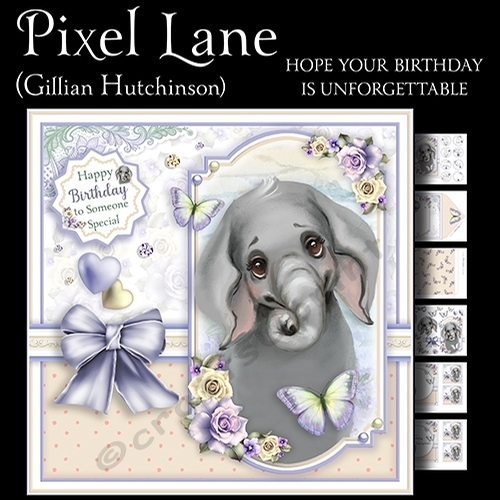 Hope Your Birthday is Unforgettable