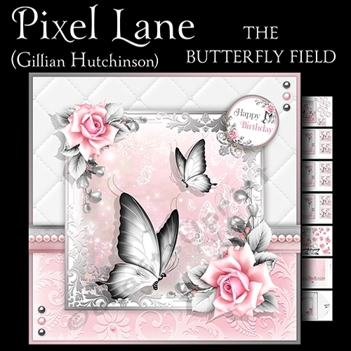 The Butterfield Field