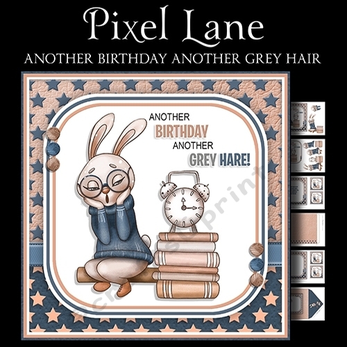 Another Birthday Another Grey Hair