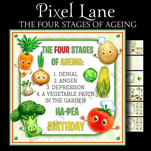 The Four Stages of Ageing 