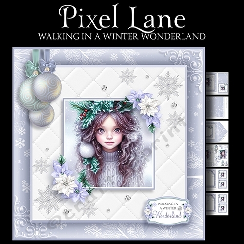 Walking in a Winter Wonderland