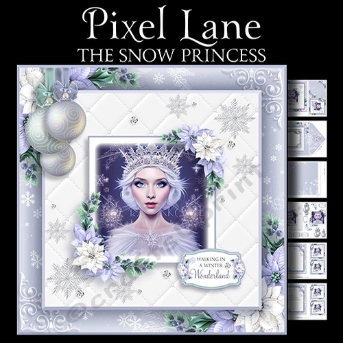 The Snow Princess