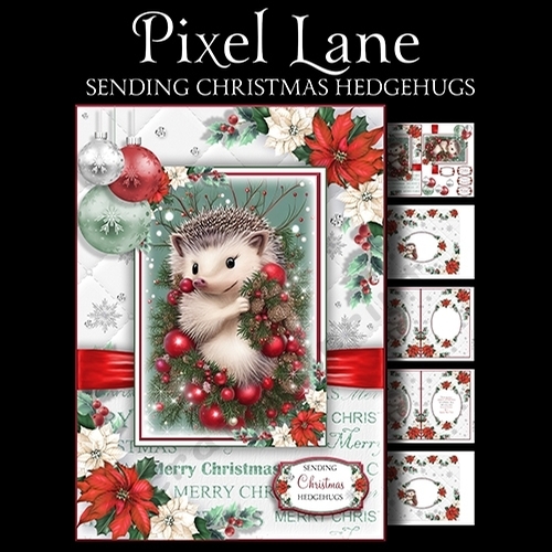 Sending Christmas Hedgehugs