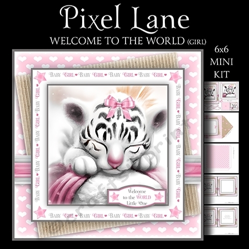 Welcome to the World (Girl)