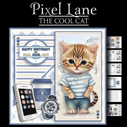 The Cool Cat
