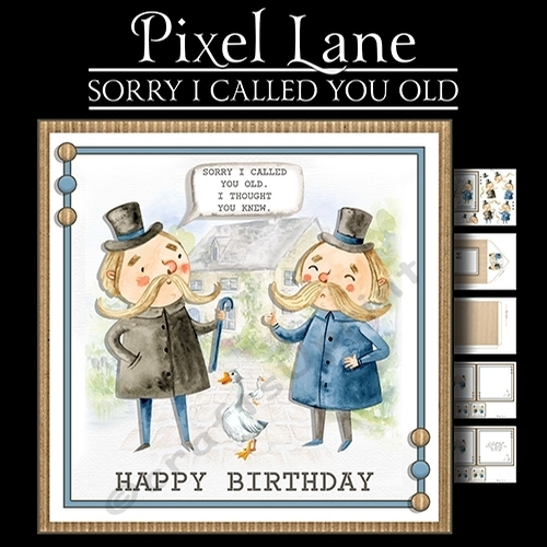 Sorry I Called You Old
