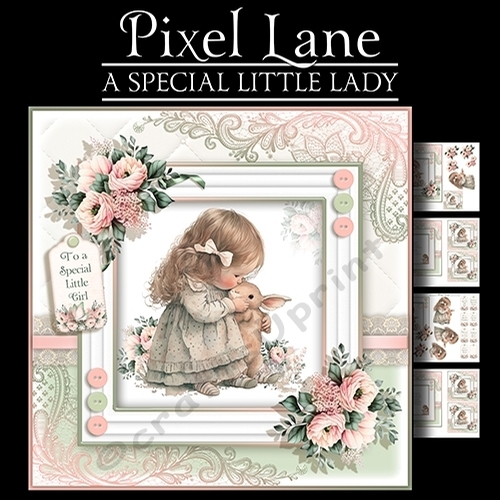 A Special Little Girl
