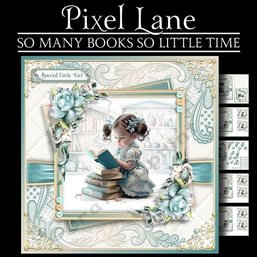 So Many Books So Little Time!
