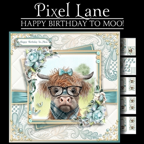 Happy Birthday To Moo!
