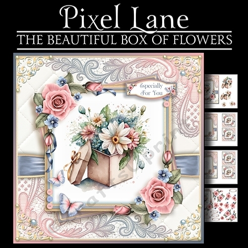 The Beautiful Box Of Flowers