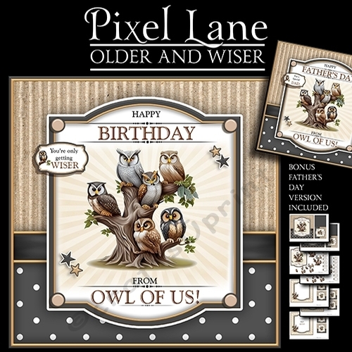 Older and Wiser