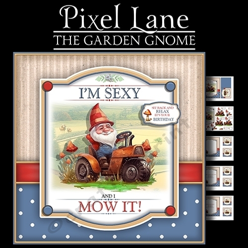 The Garden Gnome