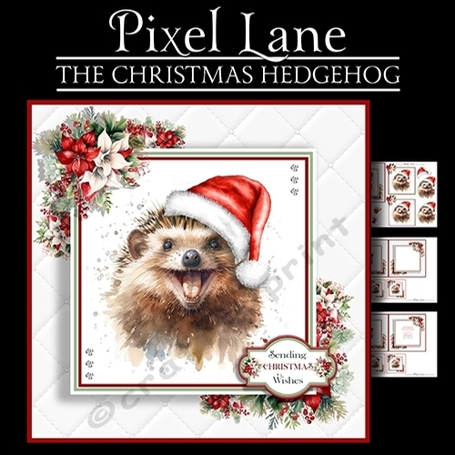The Christmas Hedgehog