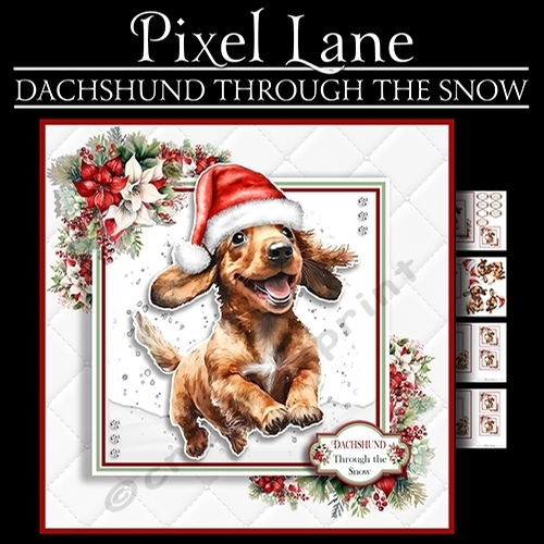 Dachshund Through The Snow!