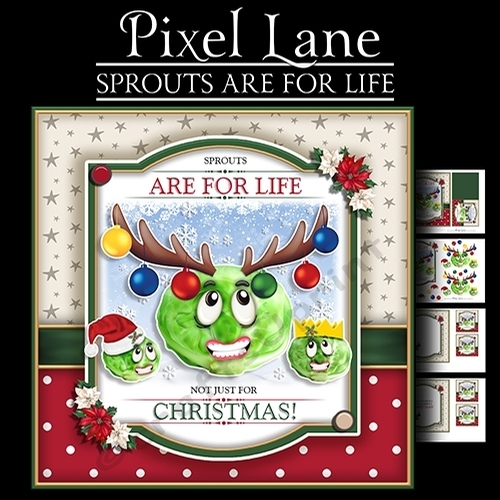 Sprouts are for Life Not Just for Christmas!