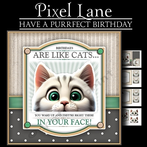 Have A Purrfect Birthday
