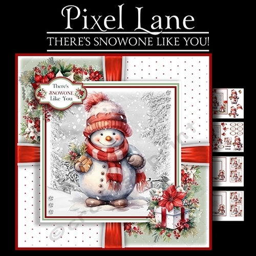 Theres Snow-one Like You!