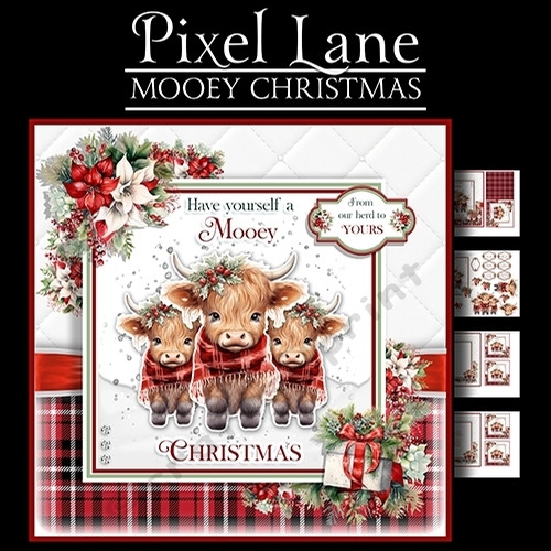 Have a Mooey Christmas