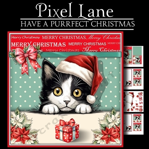 Have a Purrfect Christmas