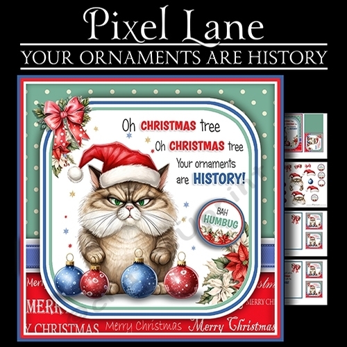 Your Ornaments Are History! (Cat)