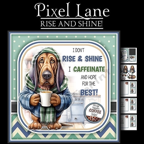 Rise & Shine!