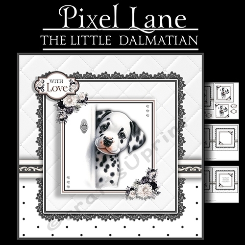 The Little Dalmatian 