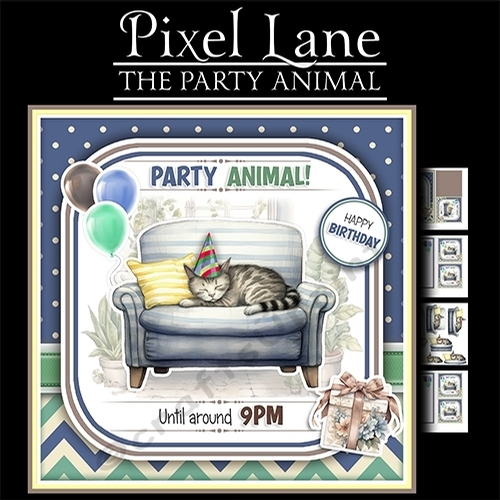 The Party Animal (Cat)