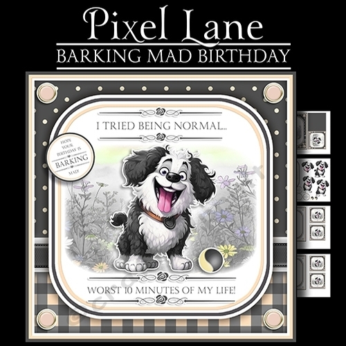 Barking Mad Birthday!
