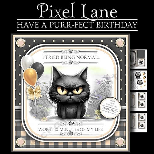 Have A Purr-fect Birthday