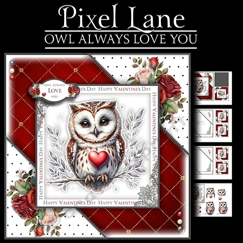 Owl Always Love You