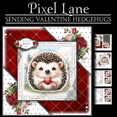 Sending Valentine Hedgehugs
