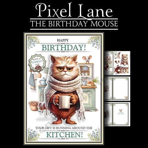 The Birthday Mouse