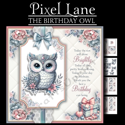 The Birthday Owl