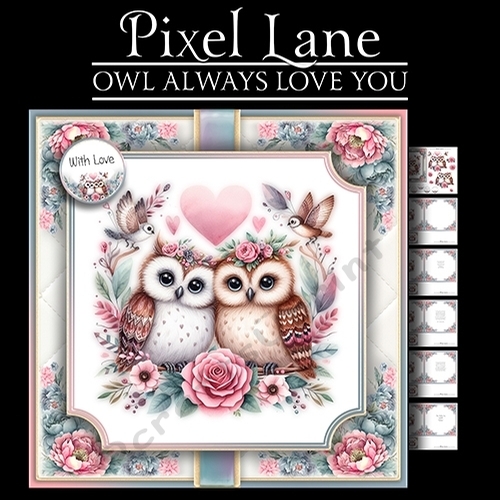 Owl Always Love You