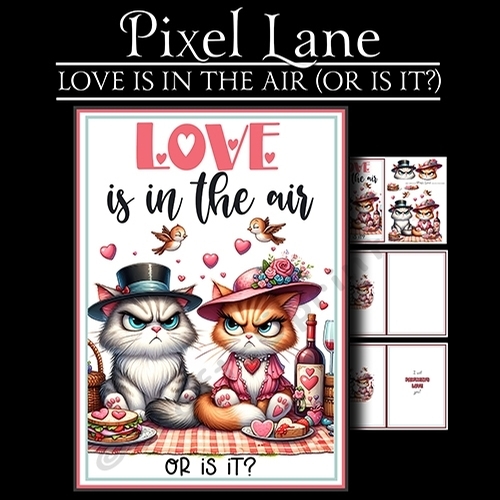 Love Is In The Air