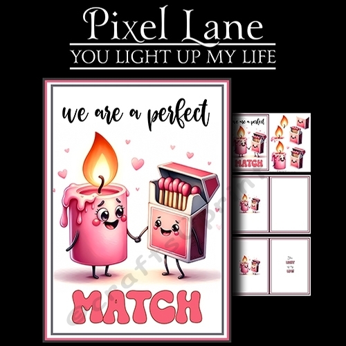 You Light Up My Life