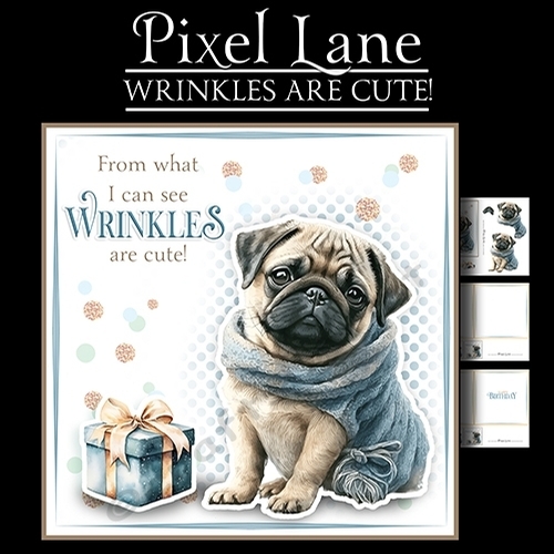 Wrinkles Are Cute! (Male)