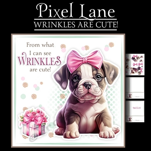 Wrinkles Are Cute! (Female)