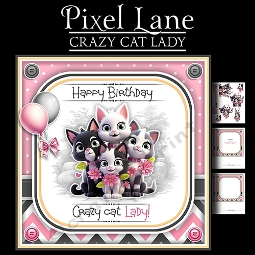 Crazy Cat Lady