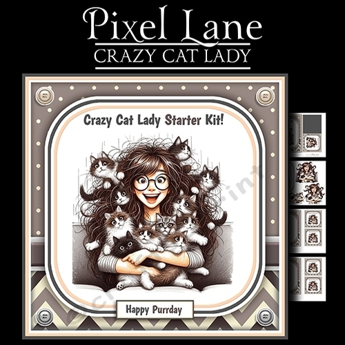 Crazy Cat Lady