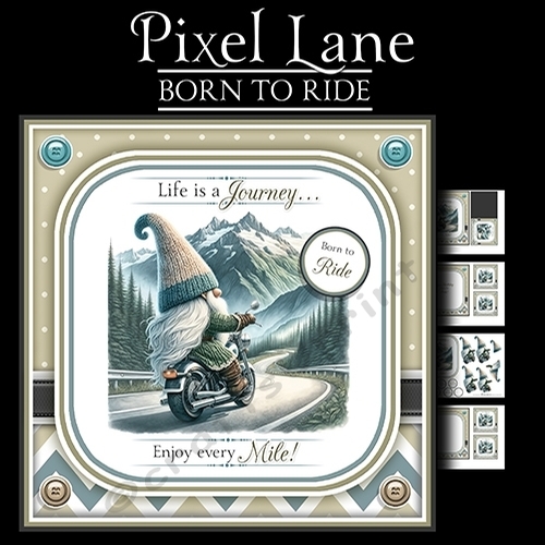 Born To Ride!