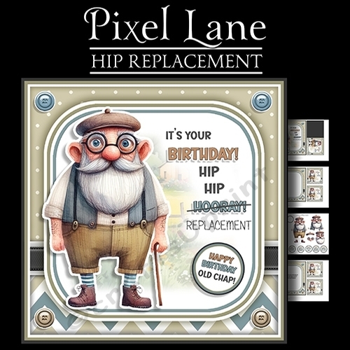 Hip Replacement (Male)